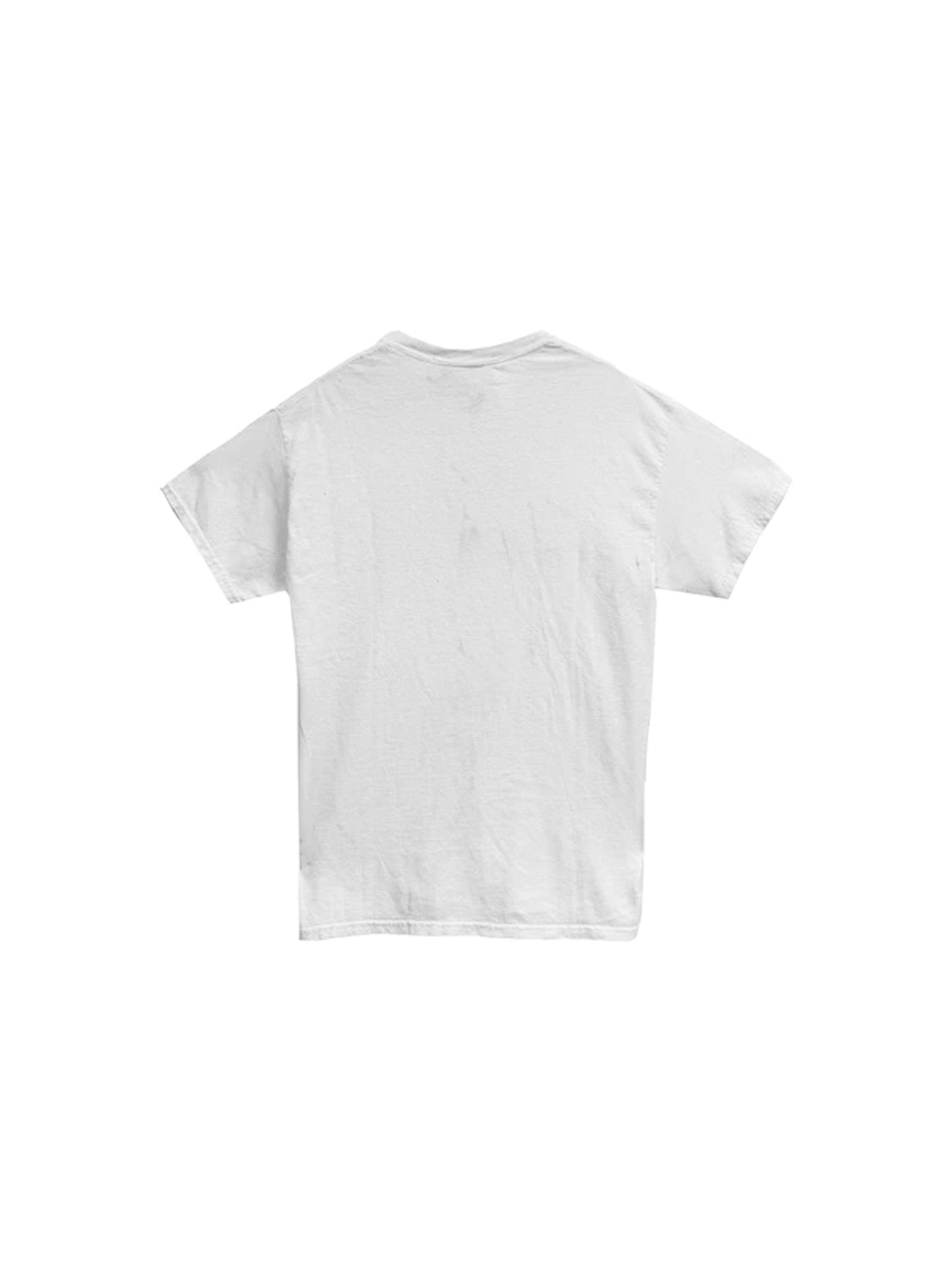 EDWARD CUMING - Turtle Print Short Sleeve T-Shirt - AW23 - WASHED OFF WHITE