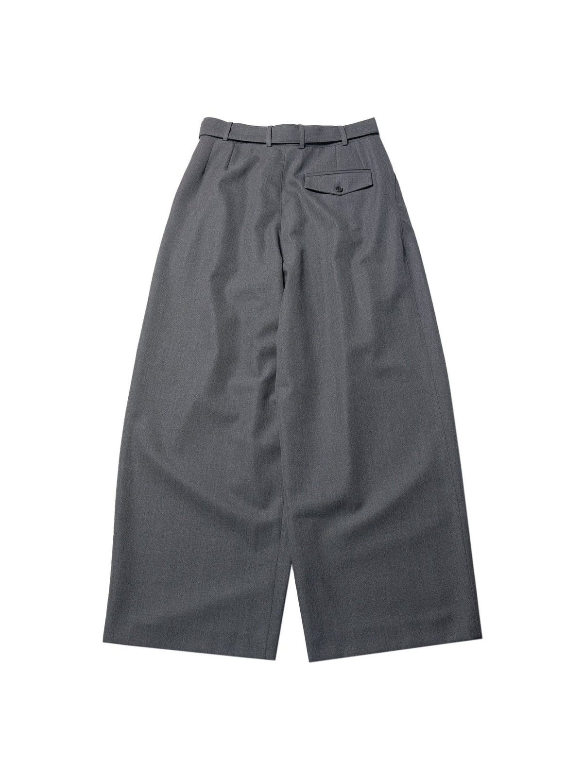 LOUIS GABRIEL NOUCHI Grey Wool Wide Leg Pleated Pants With Belt