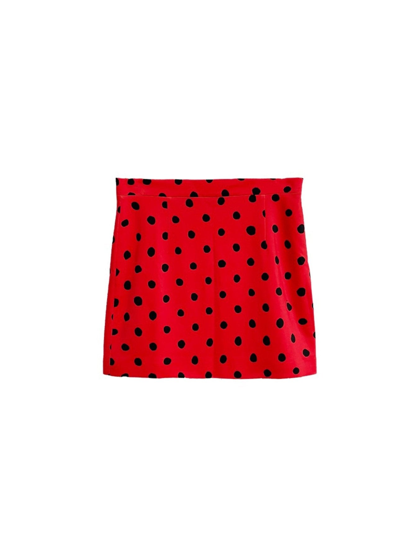 Marni Lacquer Skirts